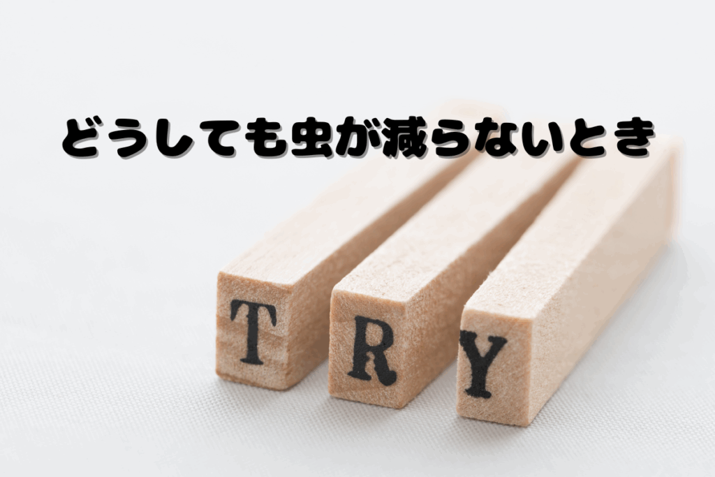どうしてもビカクシダについた虫が減らないときに試したいこと