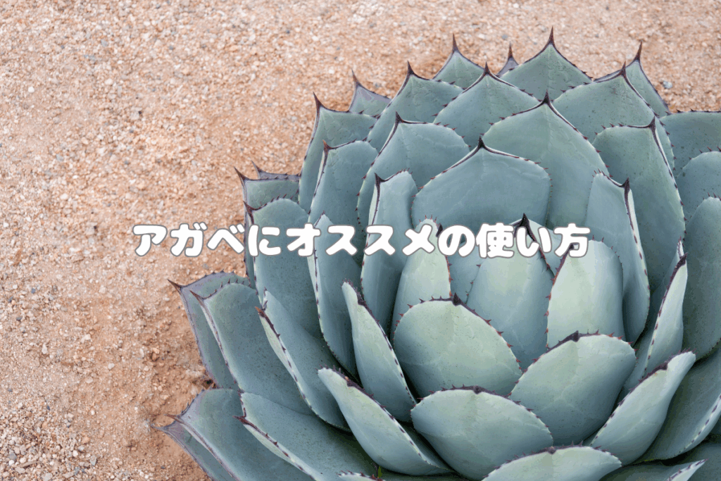 アガベにオススメのベンレートとダコニールの使い方