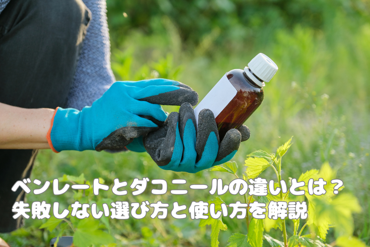 ベンレートとダコニールの違いとは？失敗しない選び方と使い方