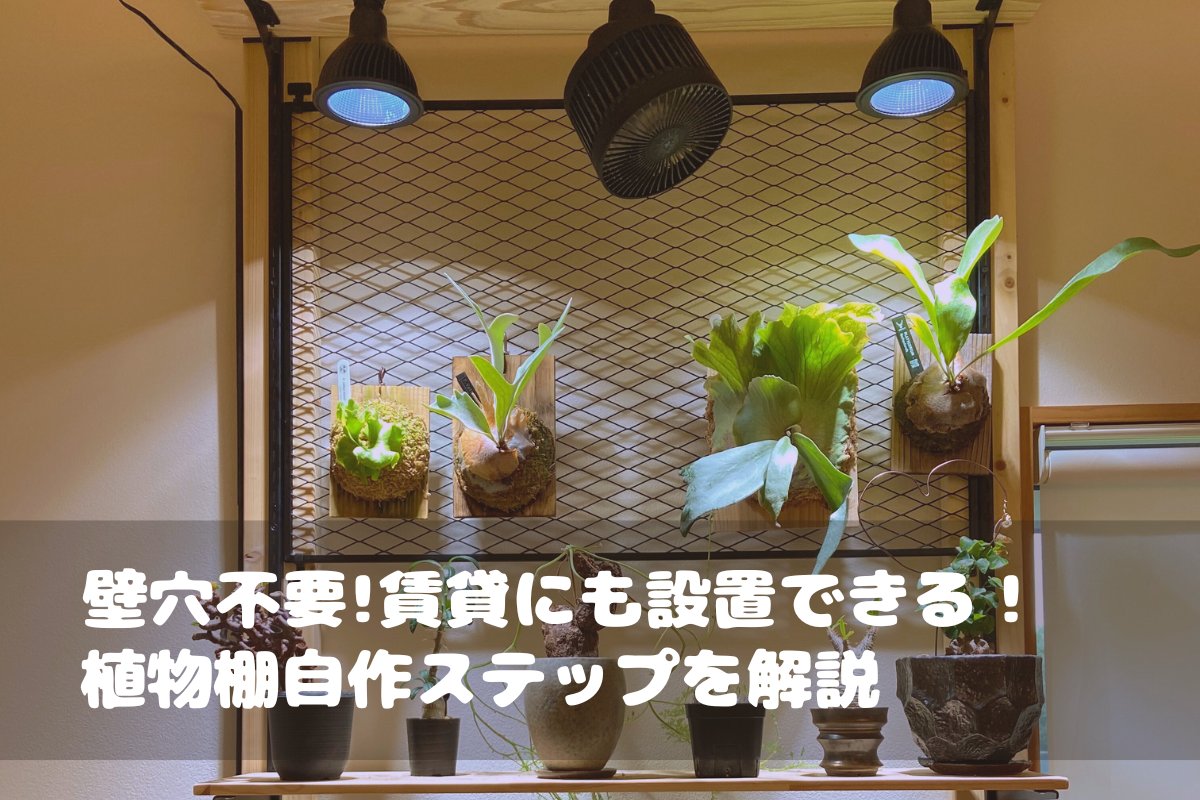 壁穴不要！賃貸でもできる植物棚を自作するステップ