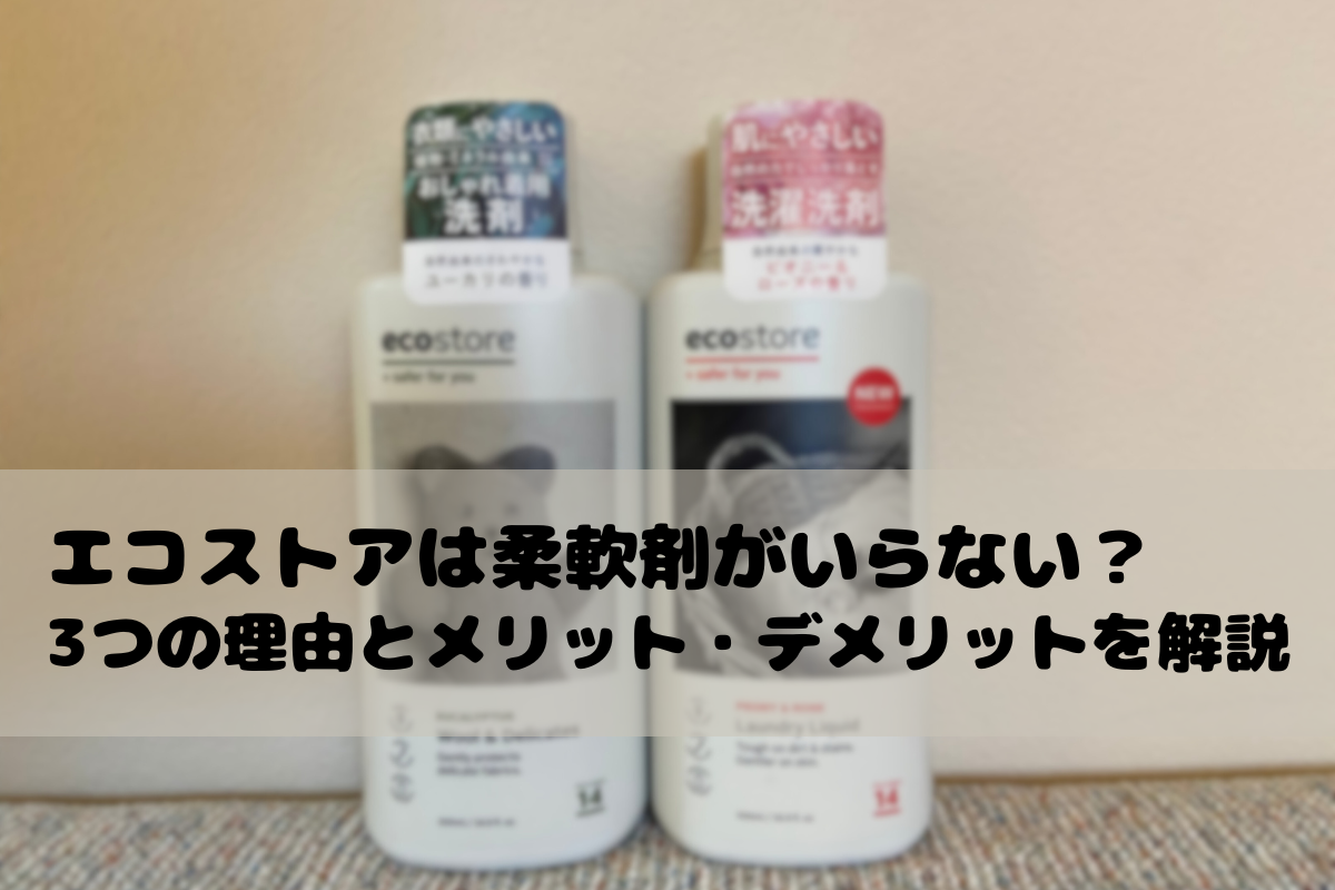 筆者宅で購入しているエコストア洗剤の写真