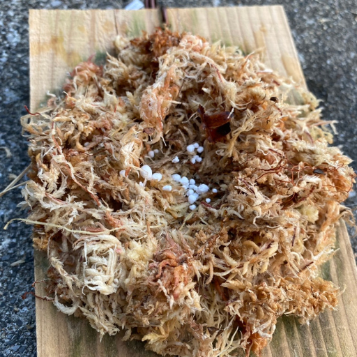 筆者が板付け手順がわかるように撮影した写真