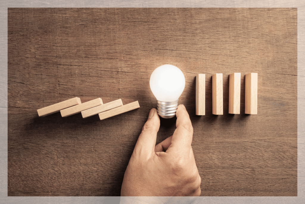 ビカクシダの成長点が見えない・埋もれているときの対策