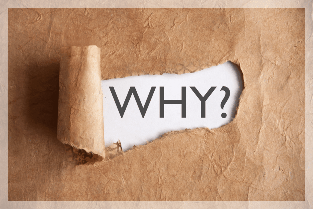 なぜイオンの無添加食品は「神コスパ」で安心なのか？